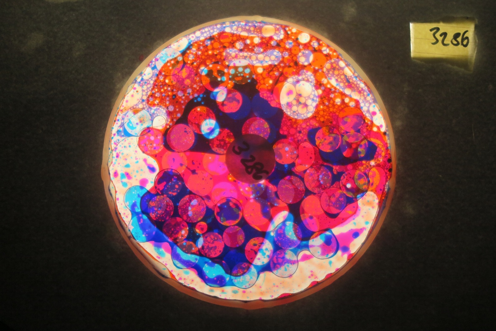 BV3286 bubble vision oil wheel